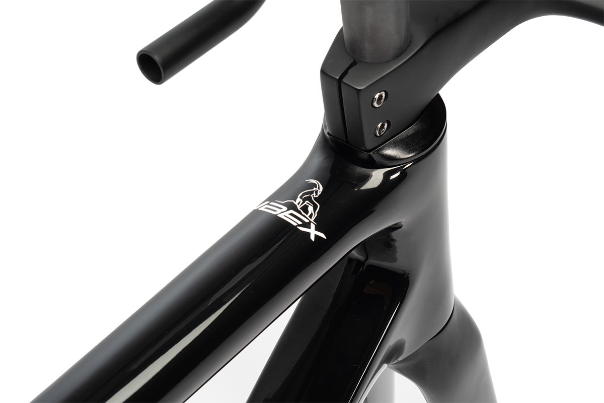 Ibex Road Frameset - Rim Brake